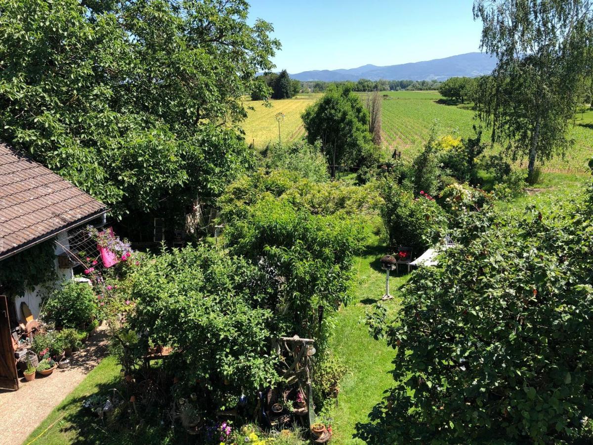 Apartamento Haus Schwarzwaldblick Achern Exterior foto