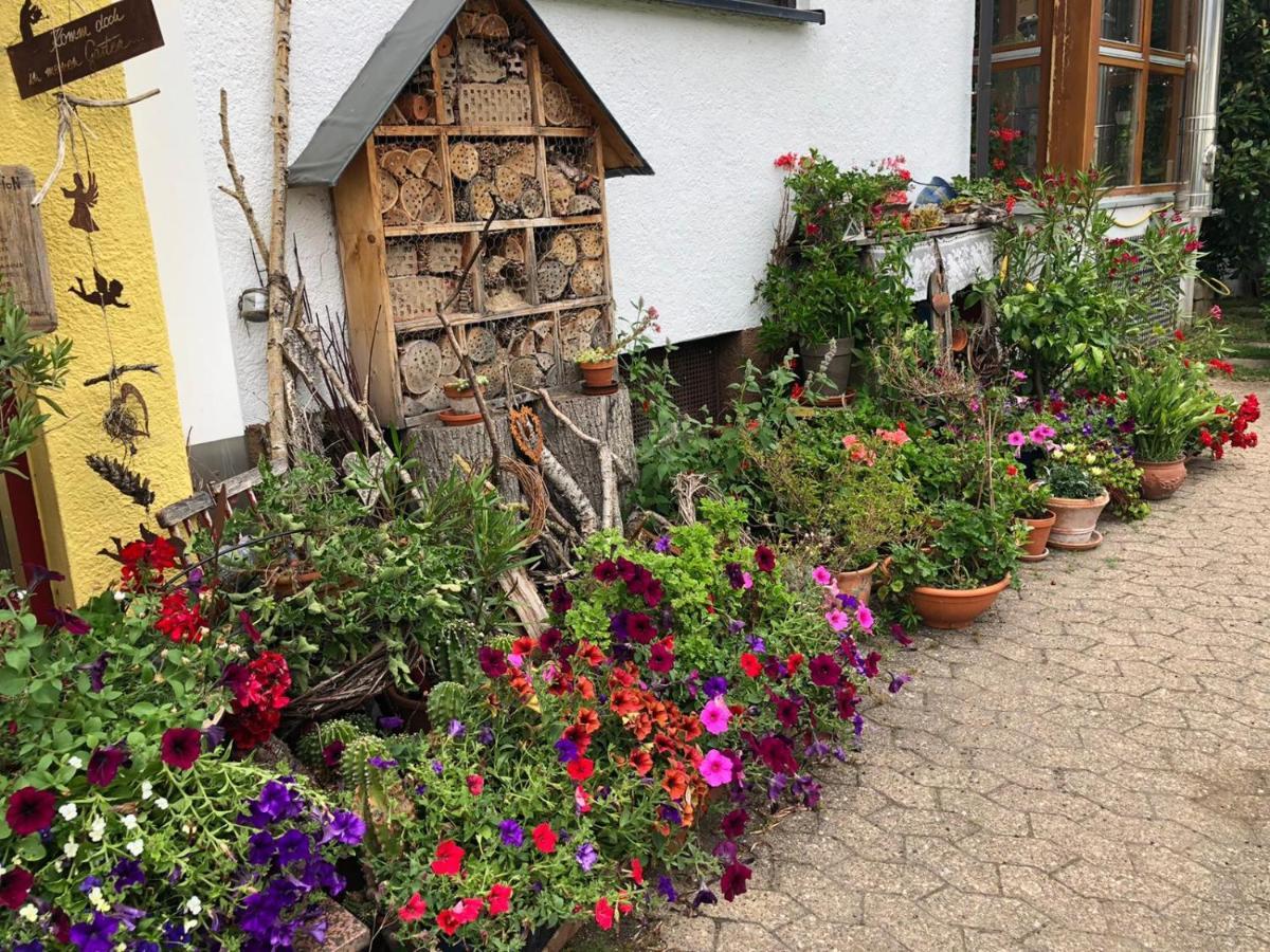 Apartamento Haus Schwarzwaldblick Achern Exterior foto